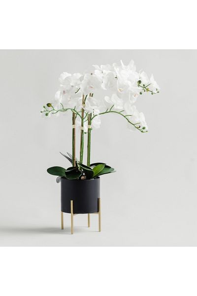 HomeVibes Flori decorative de orhidee