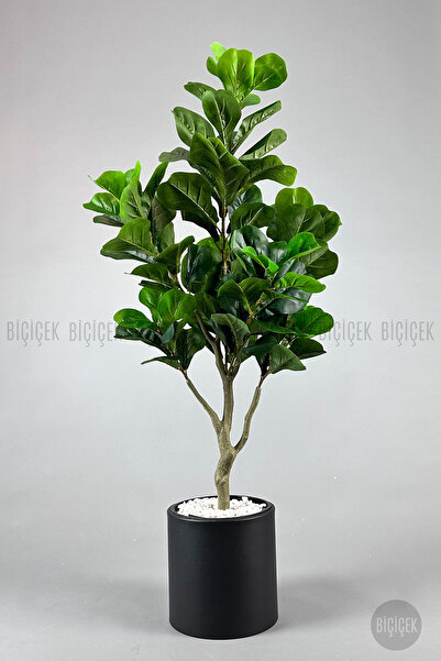 BİÇİÇEK Keman Yapraklı Kauçuk Bitkisi Fiddle Lyrata Metal Saksı