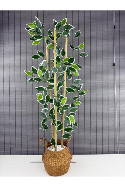 Bahçem Dekoratif Yapay Yapraklı Natural Hasır Bambu Sepetli Dekoratif Benjami...