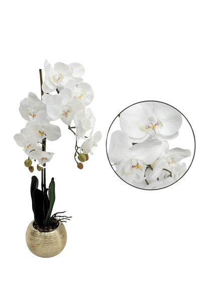 Generic 65 cm white vegetable board with a distinctive golden stand