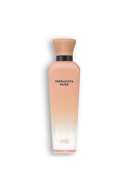 Adolfo Dominguez Women's Perfume Adolfo Dominguez Terracota Musk EDP EDP 120 ml