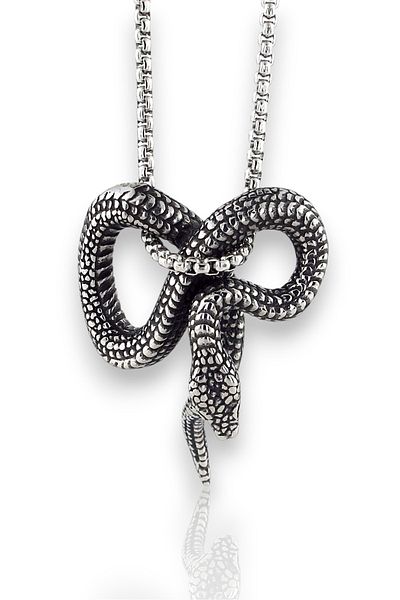 Solfera Curled Snake Gothic Design Power Symbol Titanium Steel Men's Necklace Q0971