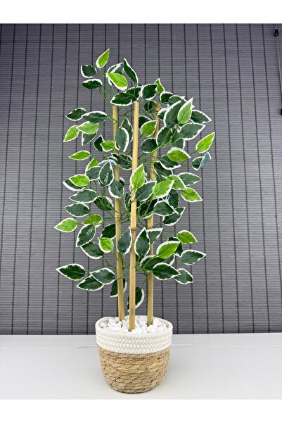 Bahçem Yoğun Yapraklı Dekoratif Benjamin Ağacı Hasır Sea Grass/Beyaz Koton Sa...