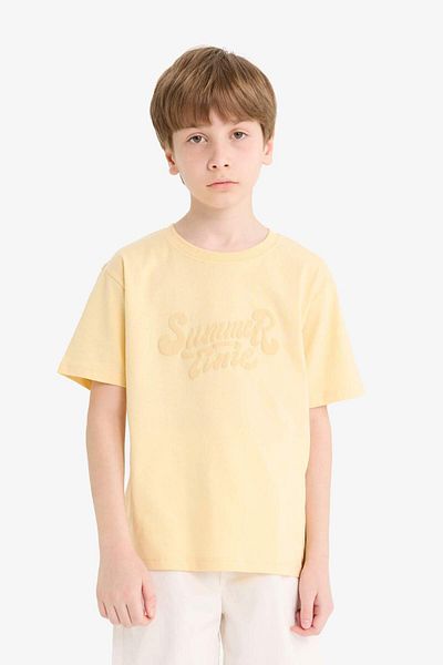 DeFacto Boy's Crew Neck Embroidered Short Sleeve T-Shirt E8457A825Hs