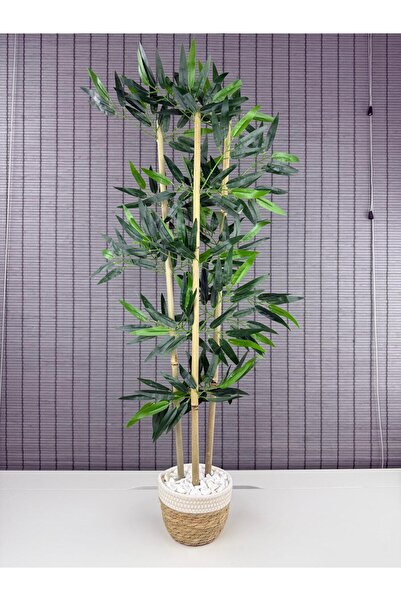 Bahçem Yoğun Yapraklı Dekoratif Bambu Ağacı Hasır Sea Grass/Beyaz Koton Saksı...
