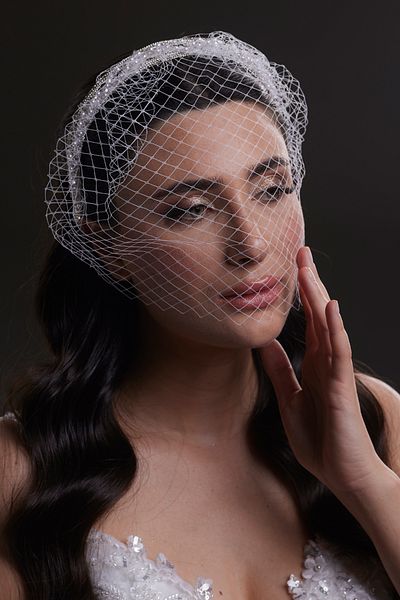 Hayalperest boncuk Vintage Inspired Lattice Tulle Bridal Veil Crown
