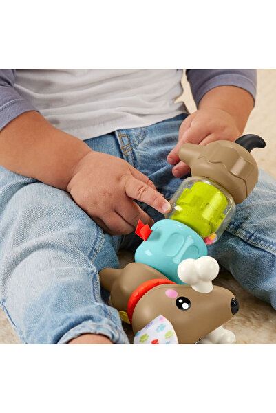 FISHER PRICE Fisher-Price Köpekçikle Eğlenceli Aktiviteler HTW91