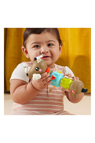 FISHER PRICE Fisher-Price Köpekçikle Eğlenceli Aktiviteler HTW91