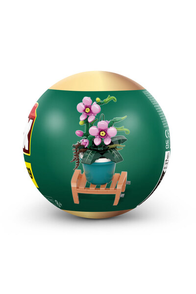 Max Saksı Bitkileri Ay Orkidesi CDU15-83183GQ1