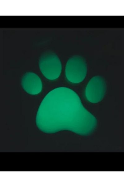 Universal Toy with LED light that projects an animal paw for cats, for training