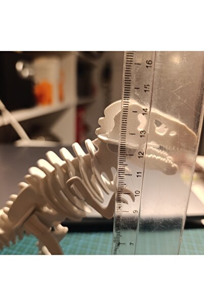 Mey3DDesign T-Rex İskelet Maketi, Beyaz, Eğitici, Eğlenceli, Karne Hediyesi, Masa ve Ofis Biblosu