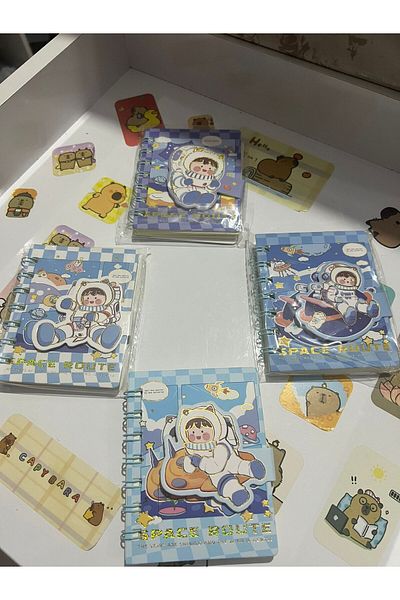 demirosa 4 Astronaut Striped Notepads