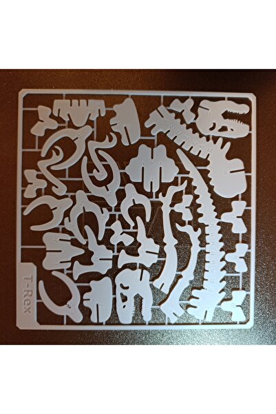 Mey3DDesign T-Rex İskelet Maketi, Beyaz, Eğitici, Eğlenceli, Karne Hediyesi, Masa ve Ofis Biblosu