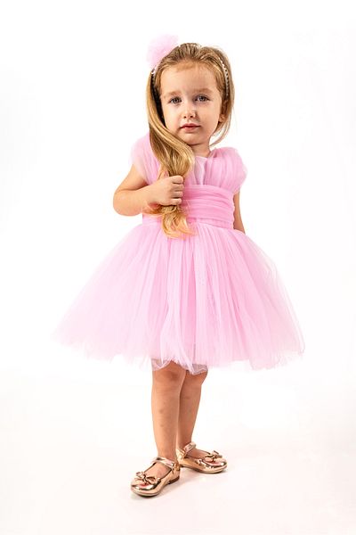 Baby Animals Baby Girl Girl Kid Birthday Party Wedding Dress Sleeveless Crowned Ruffled Tulle Tutu Tutu with Lining