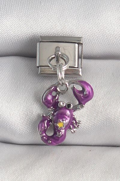 Celira Steel Silver Color Dangle Purple Crab Model Star Detail Nomination Charm