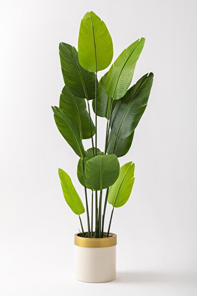 Güleç Yapay Çiçek Yapay Starliçe Ağacı 180 Cm Geniş Yapraklı Krem Gold Metal Saksı