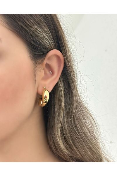 MyladyAccessoriess Heart Detailed Dolphin Steel Earrings