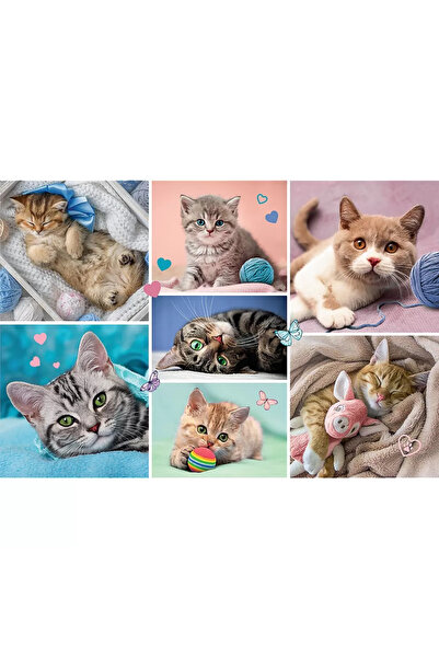 Trefl HÁDANKY TREFL 100 VE SVĚTĚ KOČEK