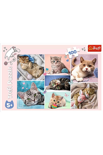 Trefl HÁDANKY TREFL 100 VE SVĚTĚ KOČEK