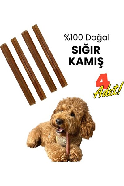 Pedigree Rodeo Biftekli Köpek Ödülü 7 Sticks 123 gr (3 Adet)