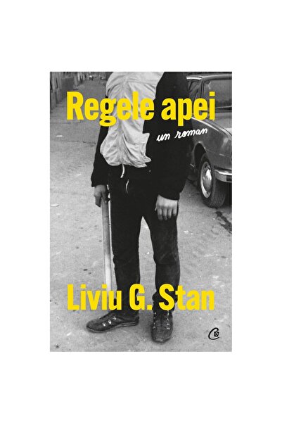 Curtea Veche Publishing Regele apei