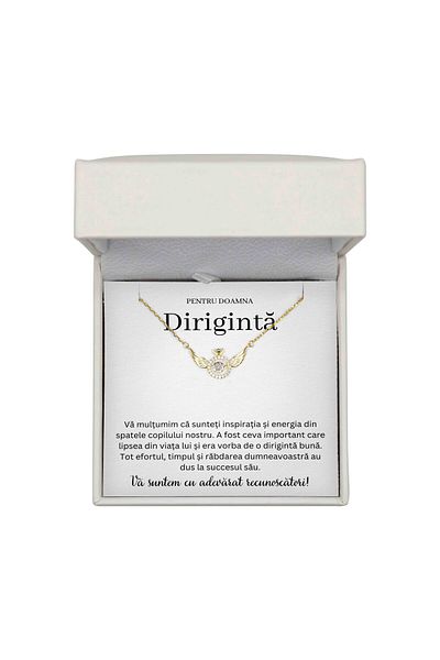 ROXX THE JEWELLRY Colier Elegant Pentru Dirigintă – Argint 925 Placat cu Aur, Mesaj De Recunoștință, Cutie LED Inclusă
