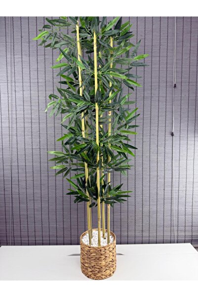 Bahçem Dekoratif Hasır Su Sümbülü Saksılı Yapay Yoğun Yapraklı Dekoratif Bambu Ağacı 5 Gövde 160cm