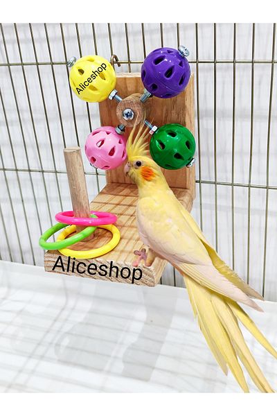 aliceshop Sultan Sevda Paradise Parrot Budgie Bell Collective Rotating Game Platform