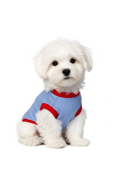 NEVERMIND Palm Sunset Print Dog T-Shirt - Summer Cat & Dog Apparel