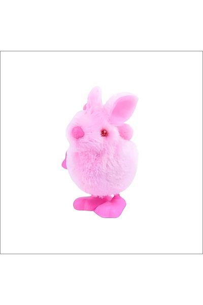 rexa Bunny and Jumping Chick Wind Up Toys