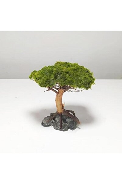İthâl Bitki Canlı Moss Sarılı Ağaç Figürü M
