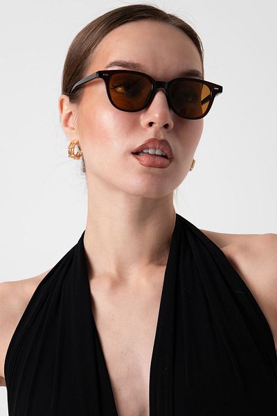 Aqua Di Polo 1987 Women's Brown Sunglasses Apsi 002702