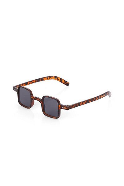 Aqua Di Polo 1987 Brown Women's Sunglasses APSU033504