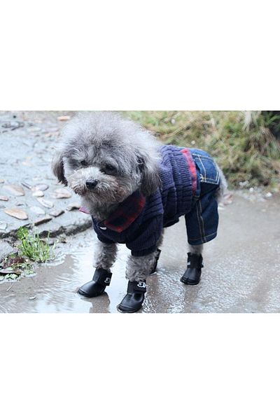 Nonbranded Încălțăminte de ploaie sau praf pentru câini/căței de talie mică, pisici sau alte animale de companie - Mărimea L