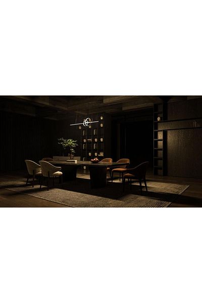 Ucandle Modern LED ceiling pendant light, two circles