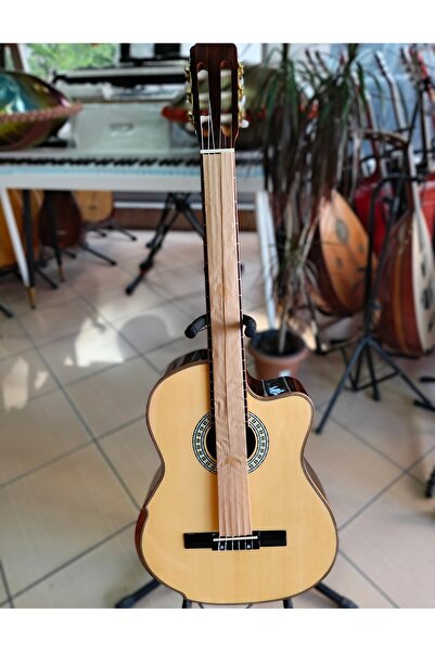 Bircanmüzik Elektro Klasik Kesik Kasa Gitar (soft kılıf+pena+yedek tel hediye)