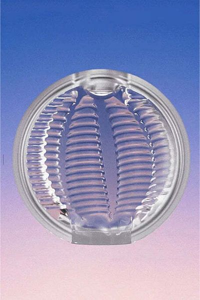 WildFashion Male masturbation cup, flexible with ridges, Colorless TOY391-3