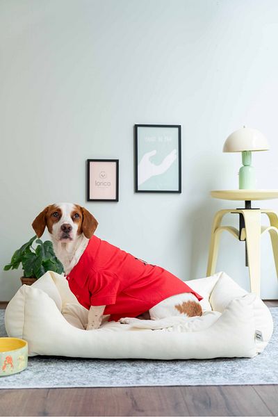 Lorico Dog Outfit - Dog Shirt (100% Cotton Linen)