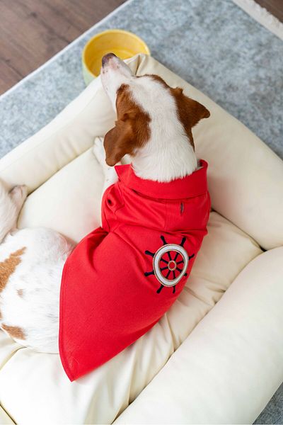 Lorico Dog Outfit - Dog Shirt (100% Cotton Linen)