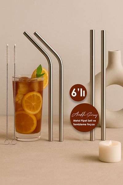Anadolu Saray 6 Pieces Metal Pipette Set Stainless Steel Pipette and Stick Pipette with 3 Pcs Cleaning Brush