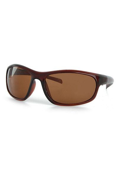 Aqua Di Polo 1987 Brown Male Kuvaatti Apsn 000802   Sunglasses