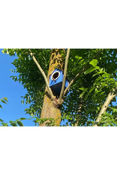 WoodenZoo Wooden Decorative Bird House Nest, Nest, Balcony, Garden Accessory (White)