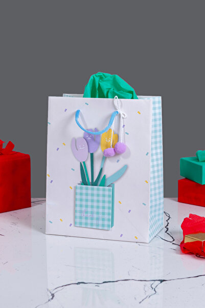 Sarkap Home Özel Tasarım Mavi Saksı Desenli Hediyelik Karton Çanta