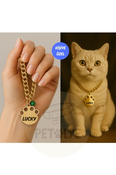 İsimli Kedi Tasması Kedi Isimlik Gold(ALTIN) Pleksi Künye ,paslanmaz Metal Zincir Tasma