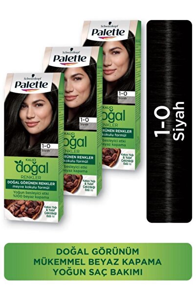 Palette Kalıcı Doğal Renkler Saç Boyası 1-0 Siyah X 3 Adet
