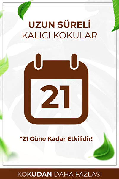 AURAN Sandal Ağacı Çubuklu Oda Kokusu Bambu Kokusu Sandal Wood Reed Diffuser 50ml