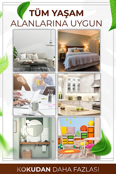 AURAN Sandal Ağacı Çubuklu Oda Kokusu Bambu Kokusu Sandal Wood Reed Diffuser 50ml