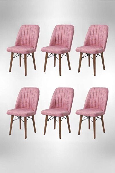 Kaktüs Avm 6'lı Mutfak Sandalyesi Salon Sandalyesi Yemek Odası Sandalyesi 6 A...