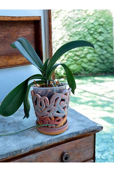 Clayanatolia El Yapımı Tasarım Saksı Orkide Saksısı