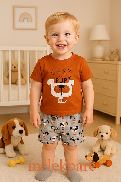 Melekpare Boys Girls Baby & Kids Shorts Summer 2-Piece T-Shirt Shorts Set 100% Cotton